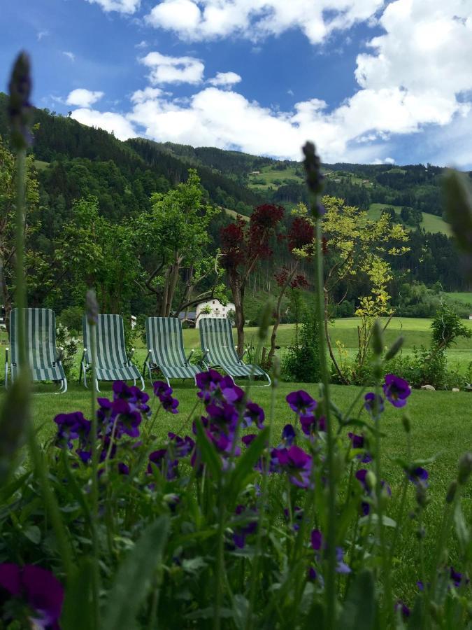 Appartements St. Leonhard Aschau Im Zillertal Ngoại thất bức ảnh
