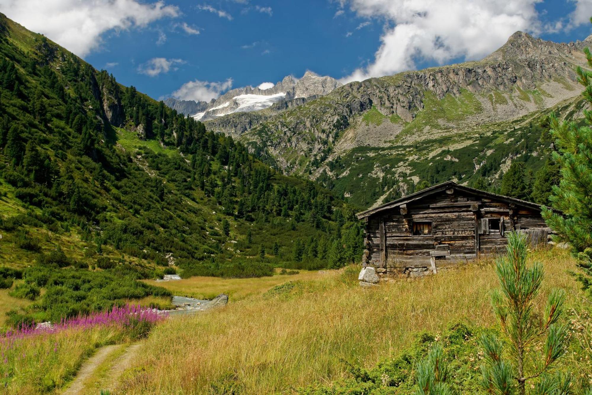 Appartements St. Leonhard Aschau Im Zillertal Ngoại thất bức ảnh